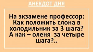 На экзамене профессор: Как положить слона в холодильник за 3 шага?... | Анекдоты смешные | Юмор