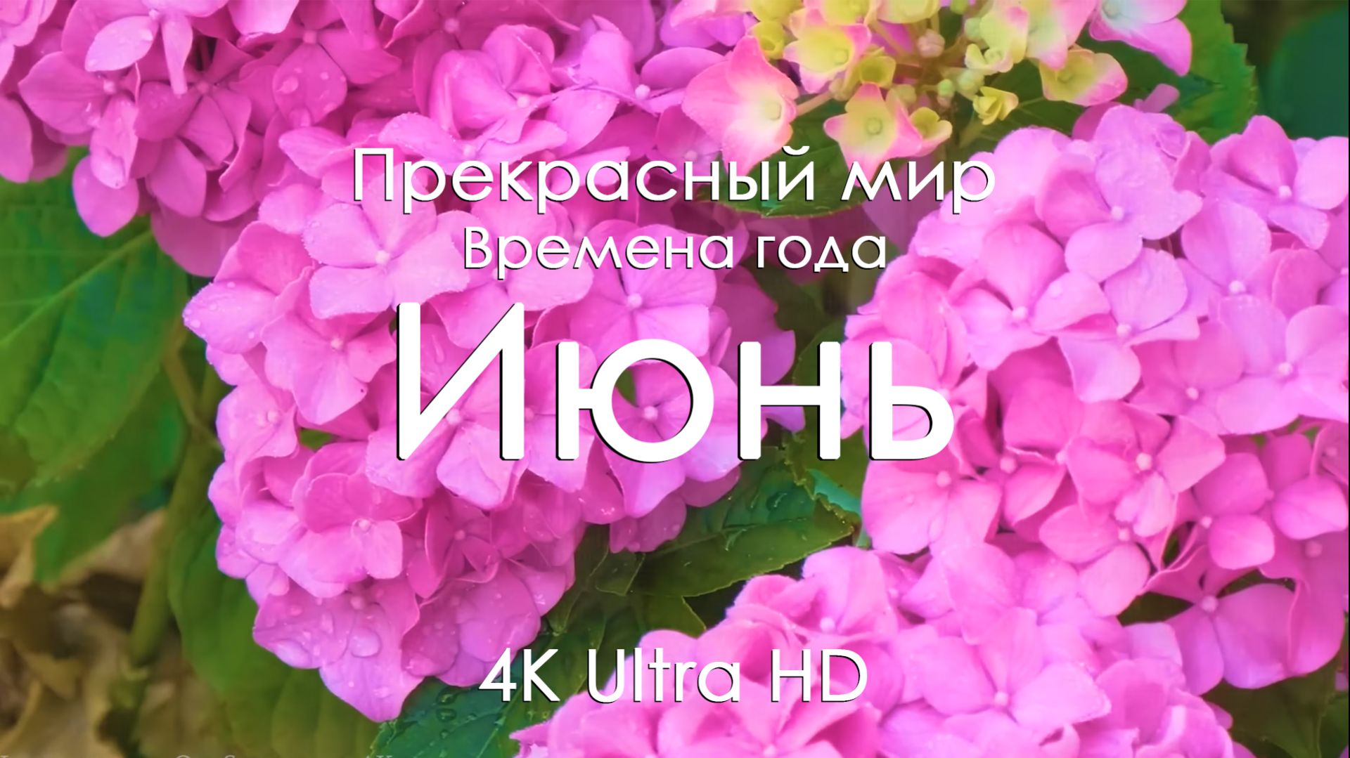 Июнь Природа 4K 🌿 Красивые пейзажи и расслабляющая музыка на фортепиано