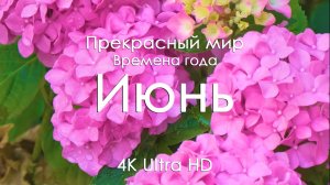 Июнь Природа 4K 🌿 Красивые пейзажи и расслабляющая музыка на фортепиано