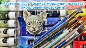 Мастер класс: роспись мордочки чихуахуа акриловыми красками