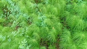 #прогулка по шикарной природе