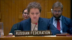 Выступление А.М.Евстигнеевой в СБ ООН по Йемену