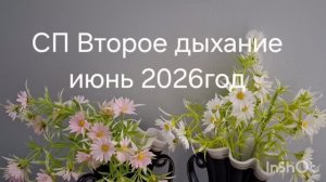 СП Второе дыхание.Отчет за июнь 2026год