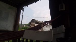 Пение птиц