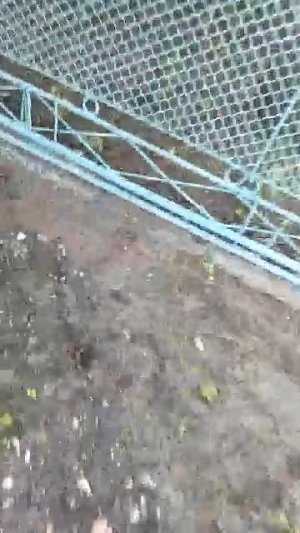 16-06-2026