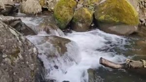 ОМОЛОЖЕНИЕ РУК*ЗАБУДЬТЕ ПРО ДРЯБЛОСТЬ КОЖИ*ВЫРАБОТКА КОЛЛАГЕНА*САБЛИМИНАЛ