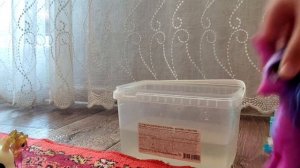 ужасная племянница 2 серия