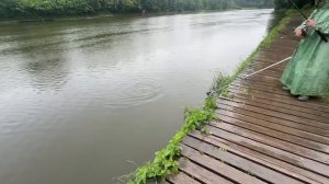 Утро на водоёме.Карпуша на червя