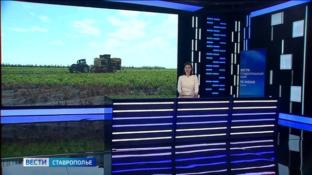 В Предгорном округе приступили к сбору черешни ранних сортов смотреть онлайн