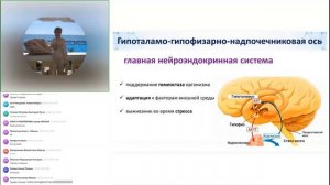 Что убивает гормональную систему