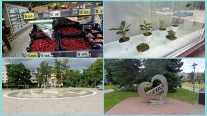 ✅Жизнь без фильтра✅С утра поехала в город.Фонтан.Пятёрочка и магазин для кондитеров.