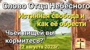 «Чьей пищей вы кормитесь», «Как найти истинную свобода» — слово Отца Небесного 22.08.23