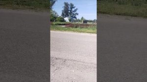 цветочки
