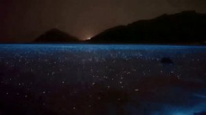 Успокоительное:  «Love Theme»   Vangelis
