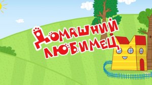 Три кота! Новые серии - Домашний Любимец! Яркие мультики для детей. Детские мультики смотреть! Игра