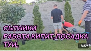 САМВЕЛ АДАМЯН, СЫТНИКИ, РАБОТА КИПИТ, ПОСАДКА ТУИ..