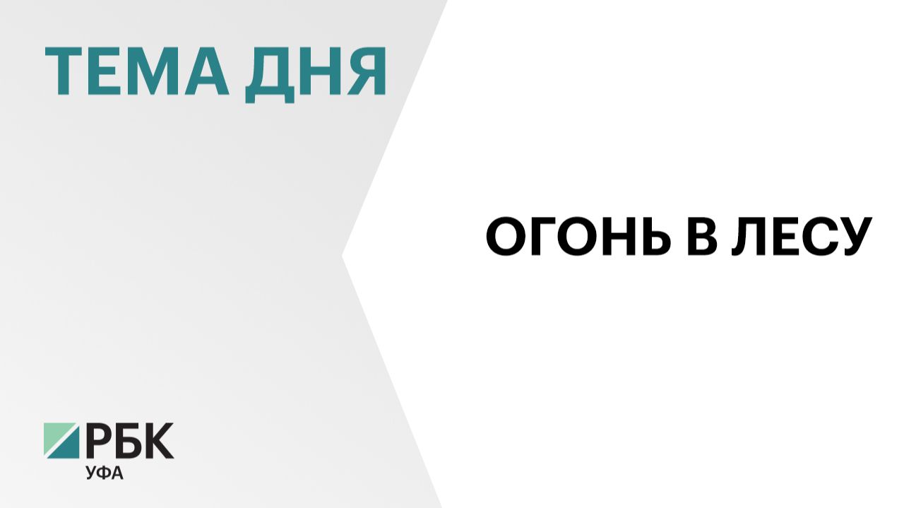 14 лесных пожаров произошло в республике с начала года, огнем охватило 87 га
