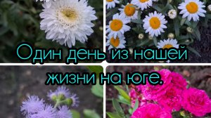 14-06-2026/ Один день из нашей жизни на юге/ Готовлю/ Дожди/ Заготовочки/ Убрали ряд огурцов/