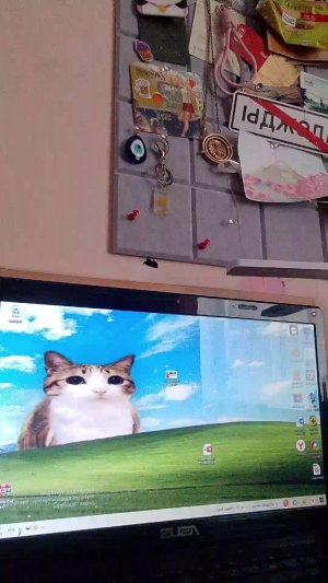 Играю в Яндекс Игры на компьютере!