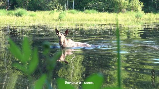 КОРОТКАЯ ВСТРЕЧА - Быстрая публикация.