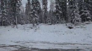 охота и рыбалка