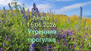 Анапа 16.06.2026 утренняя прогулка