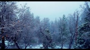 УСПОКАИВАЮЩИЕ МЕЛОДИИ ДЛЯ ДУШИ
