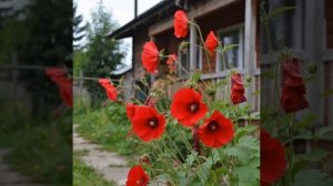 VNMUZEK #СТУДИЯМУЗМОНСТР