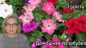 1 часть. Дайте ОСКАРА этой сск@ ти не❗️Где она❓️Что она❓️
