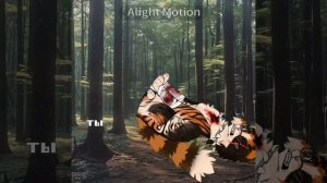 Жду