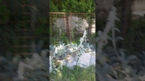 продолжение снимай мой день летний