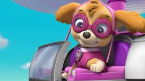 Paw Patrol. Щенячий патруль спасает мирЩенячий патруль готов вместе с тобой решать загадки, играть