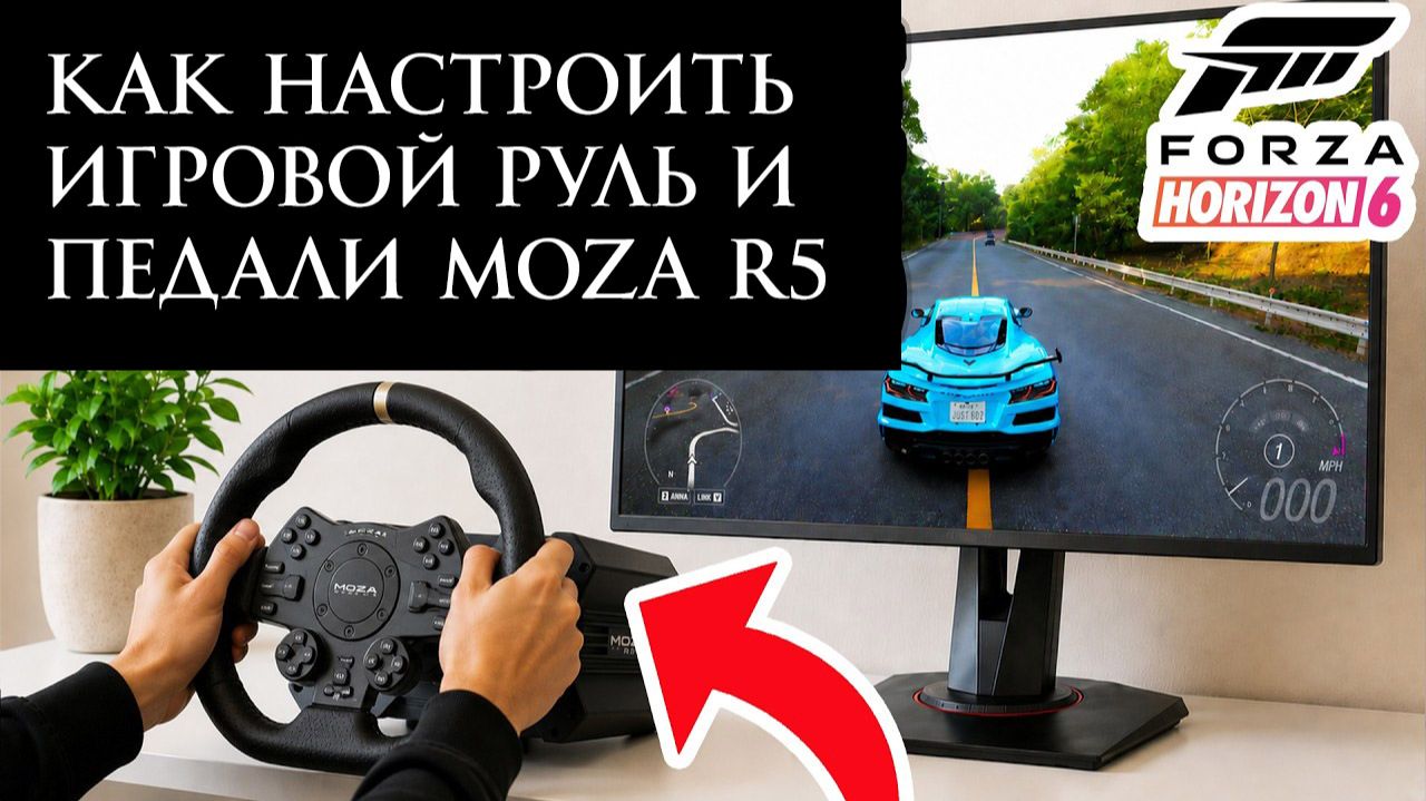 Forza Horizon 6 - вопросы, настройки