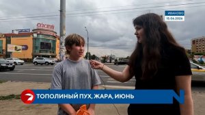 Нужны ли в Иванове пухососы