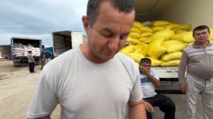 хоразим хазарасп оптим гурунч нархлари