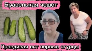 Бро опять в депрессию впала А я с 32,4 стажем ем молочные огурцы с грядки