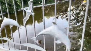 ОДЕССА 16 ИЮНЯ 2026. ТЦК В ГРАЖДАНСКОМ БУДУТ ДЕЖУРИТЬ НА ПЛЯЖАХ! РЕАКЦИЯ ОДЕССИТОВ НА СЛАВУ УКРАИНЕ!