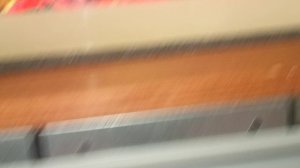 посадил новые саженцы , утренний завтрак