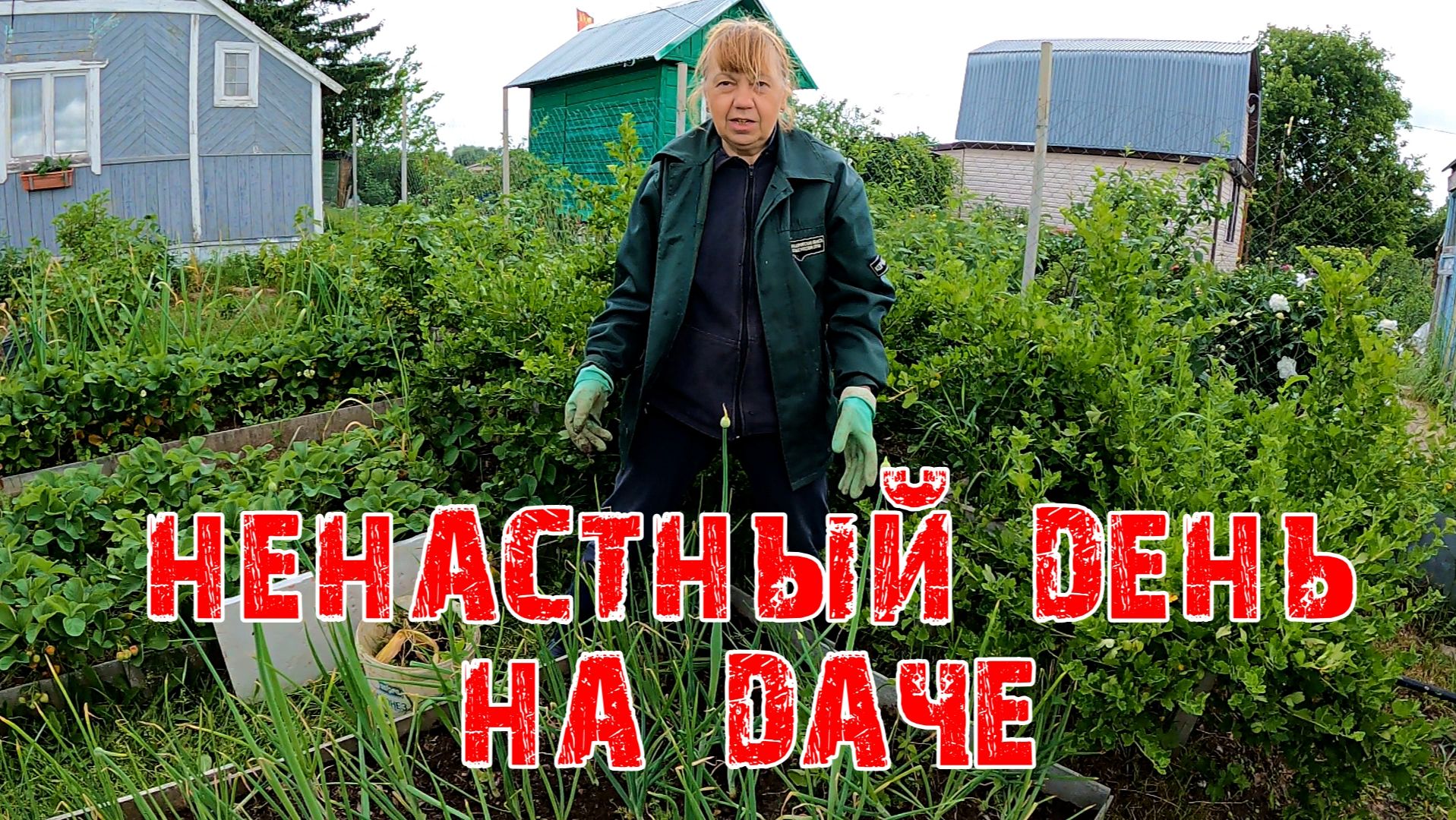 НЕНАСТНЫЙ ДЕНЬ НА ДАЧЕ