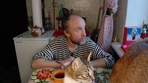 Обед с котями. Черные риелторы продают долю дома. Мукбанг. Обжор. Еда на камеру. Диета. Шизофрения.