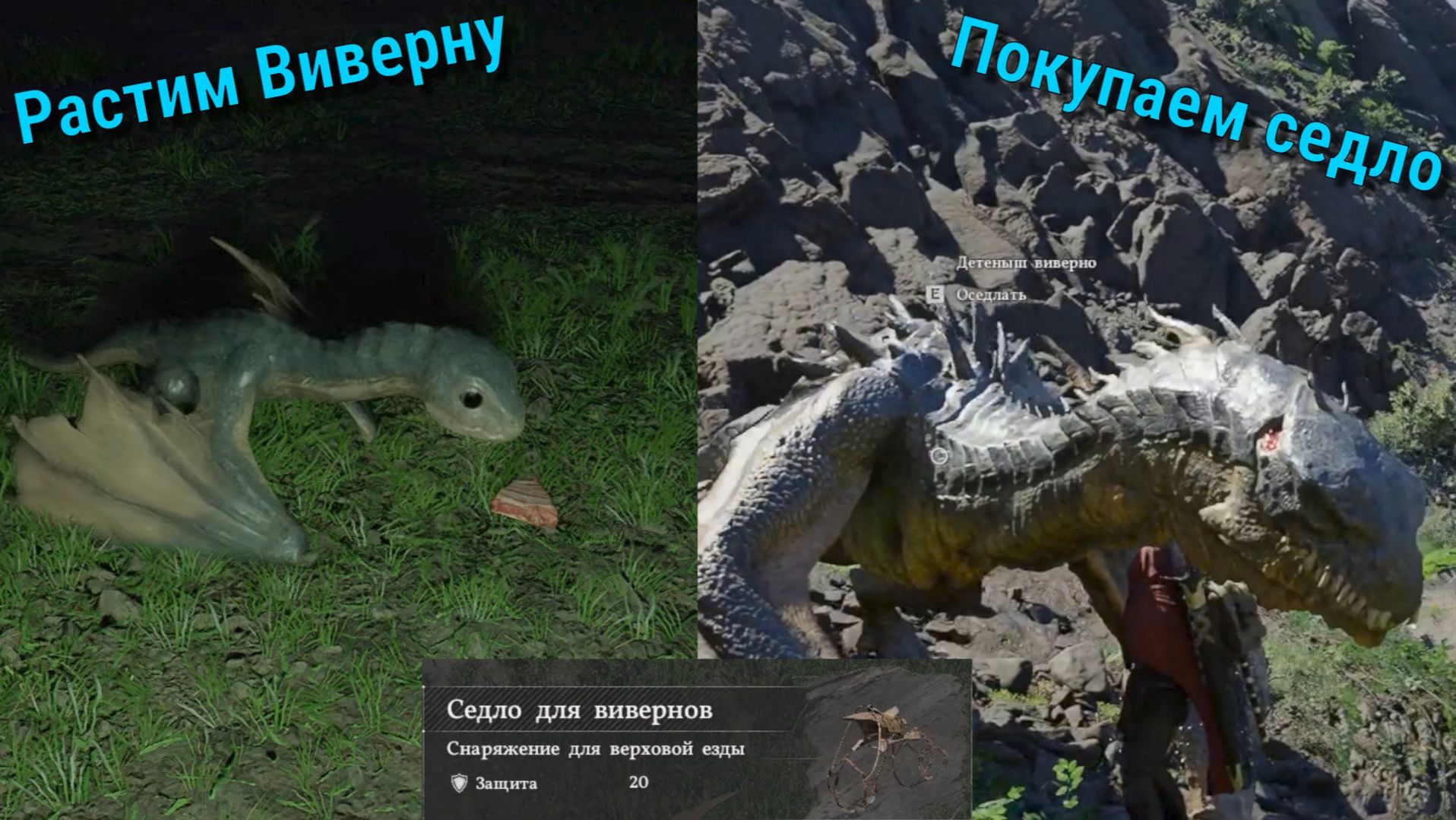 Crimson Desert. Растим Виверну. Берем седло. Вылупление есть в другом видео на канале.