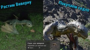 Crimson Desert. Растим Виверну. Берем седло. Вылупление есть в другом видео на канале.