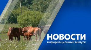 Новости 15.06.2026г.