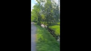 Видео для расслабления.