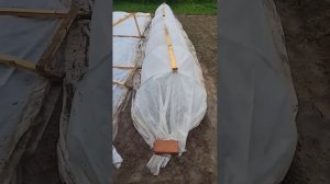 Последствия сильного ветра 😱😱😱