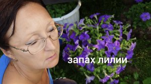 Видео привет с 6 соток 15 июня 2026 года