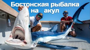 БОЛЬШАЯ СИНЯЯ АКУЛА!  Пойман и приготовлен!