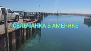 Сельчанка в Америке С САМОГО УТРА ЕДУ ЗА РЫБОЙ МАГАЗИН КОСТКО ШОПИНГ