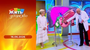 Жить здорово! Выпуск от 16.06.2026
