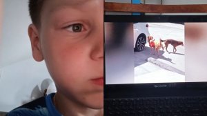 смотрю смешные видео